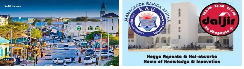 Hiigsi & Hayaan: Taxanaha 35aad iyo Cabdifataax Cumar Geeddi (dhegayso)