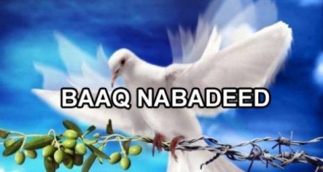 Waxgarad baaq nabadeed u diray Beelo ku dagalamay Galaadi (dhegayso|daawo)