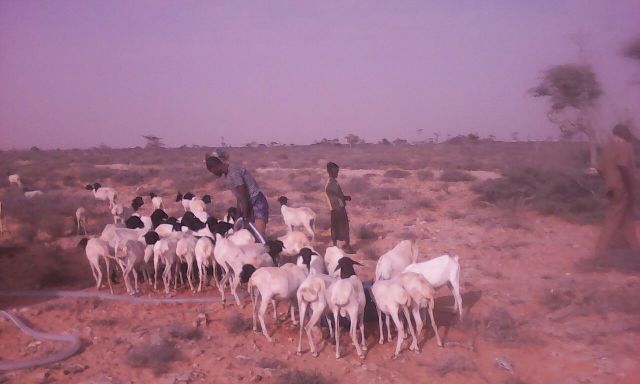 Abaaro laga soo sheegayo degaano ka tirsan gobalka Gardafuu (Daawo)