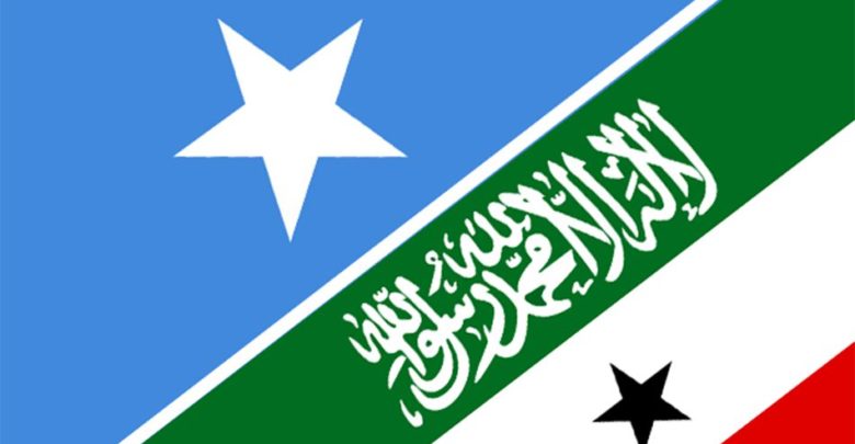 Madaxweyne deni oo ka hadlay Wadahadalada DFS& Maamulka Somaliland (Daawo)