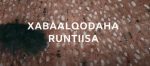 Muqdisho: Runta Xabaalo Qodaha “Dadka u dhintay CARONA way ka badan yihiin inta Dowladu sheegtay,” BBC Africa Eye