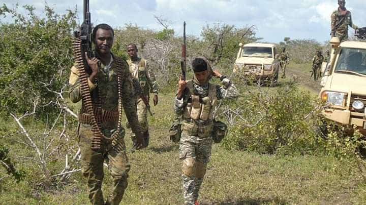 Ciidanka DANAB oo howlgal ku qaaday degaano ay ku sugnaayeen Al-Shabaab